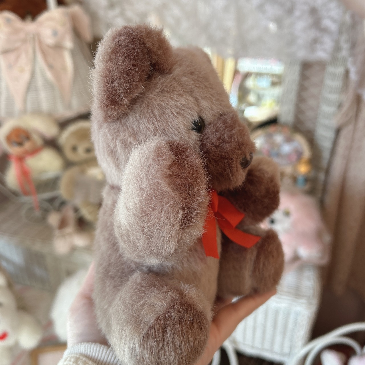 brown bearの画像03