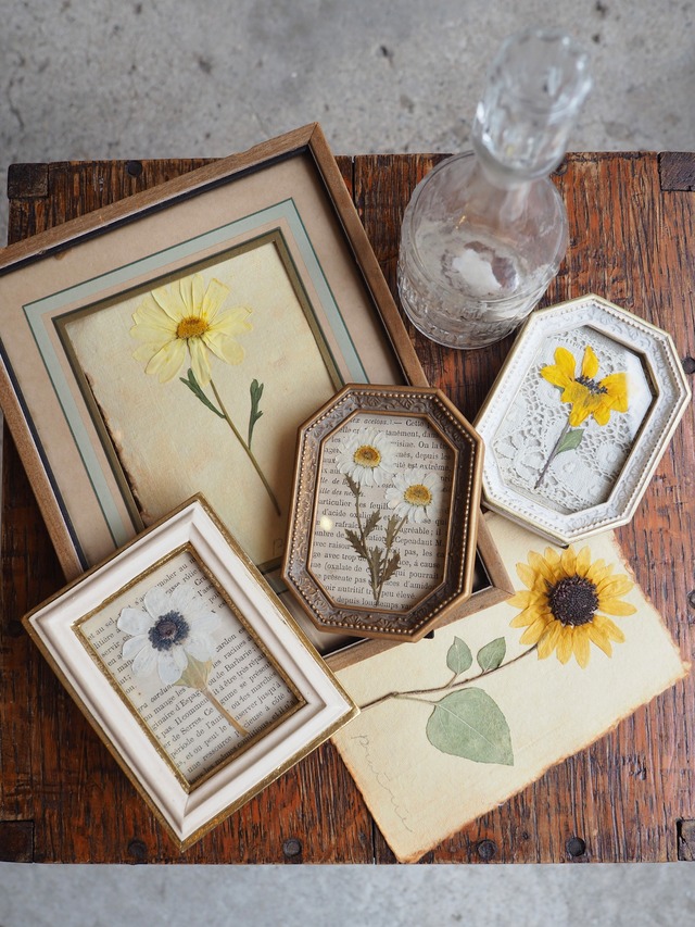 Prairie 向日葵のフレームフラワー