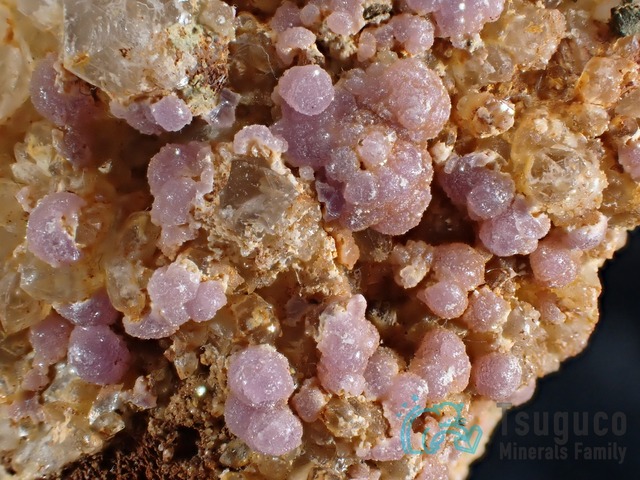 ご予約者様専用お取引ページ