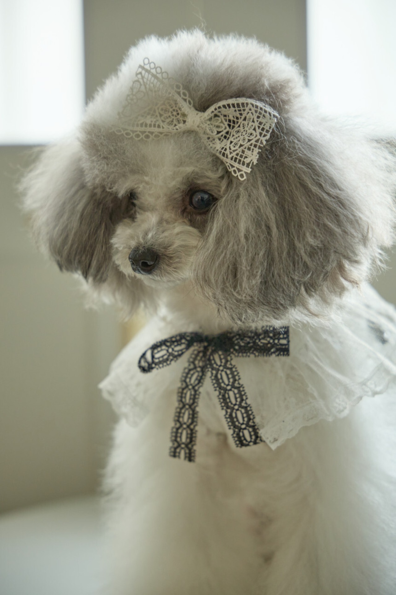 予約【cocolauren】Bloom One piece