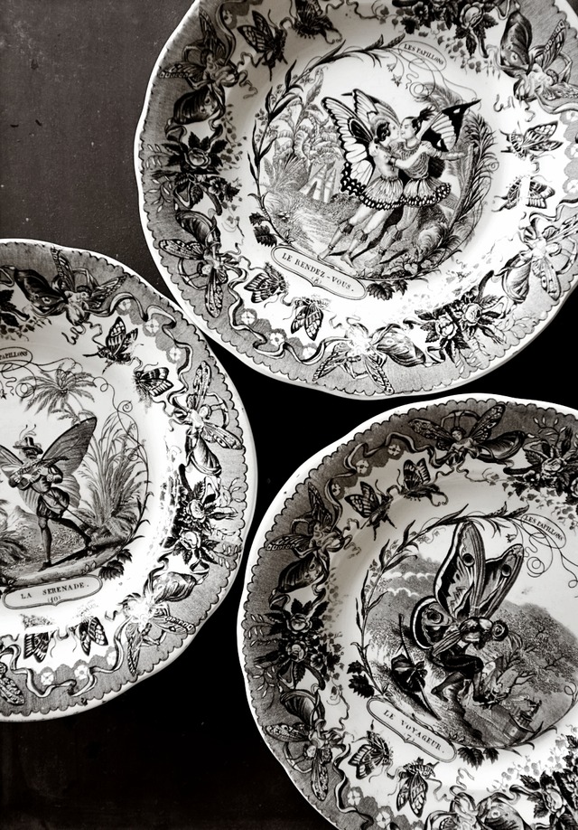 1840s~  Creil et Montereau LES PAPILLONS グランヴィル的蝶々人間のプレートb アンティーク