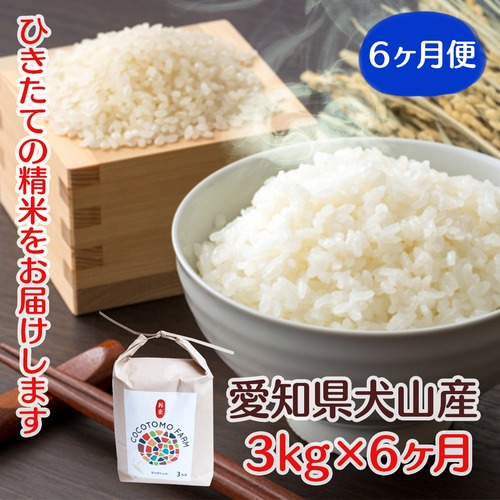 2023年収穫米　ゆめまつり　【定期便　3kg×1袋　6回】