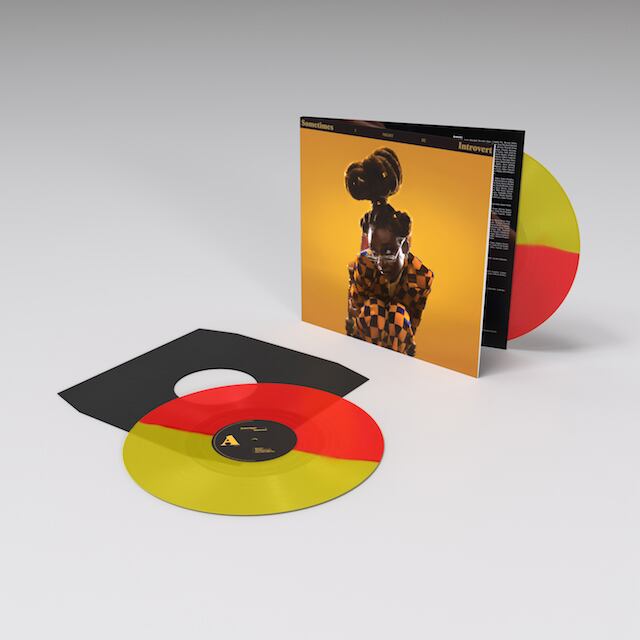 Little Simz / Sometimes I Might Be Introvert（Ltd Red and Yellow 2LP）