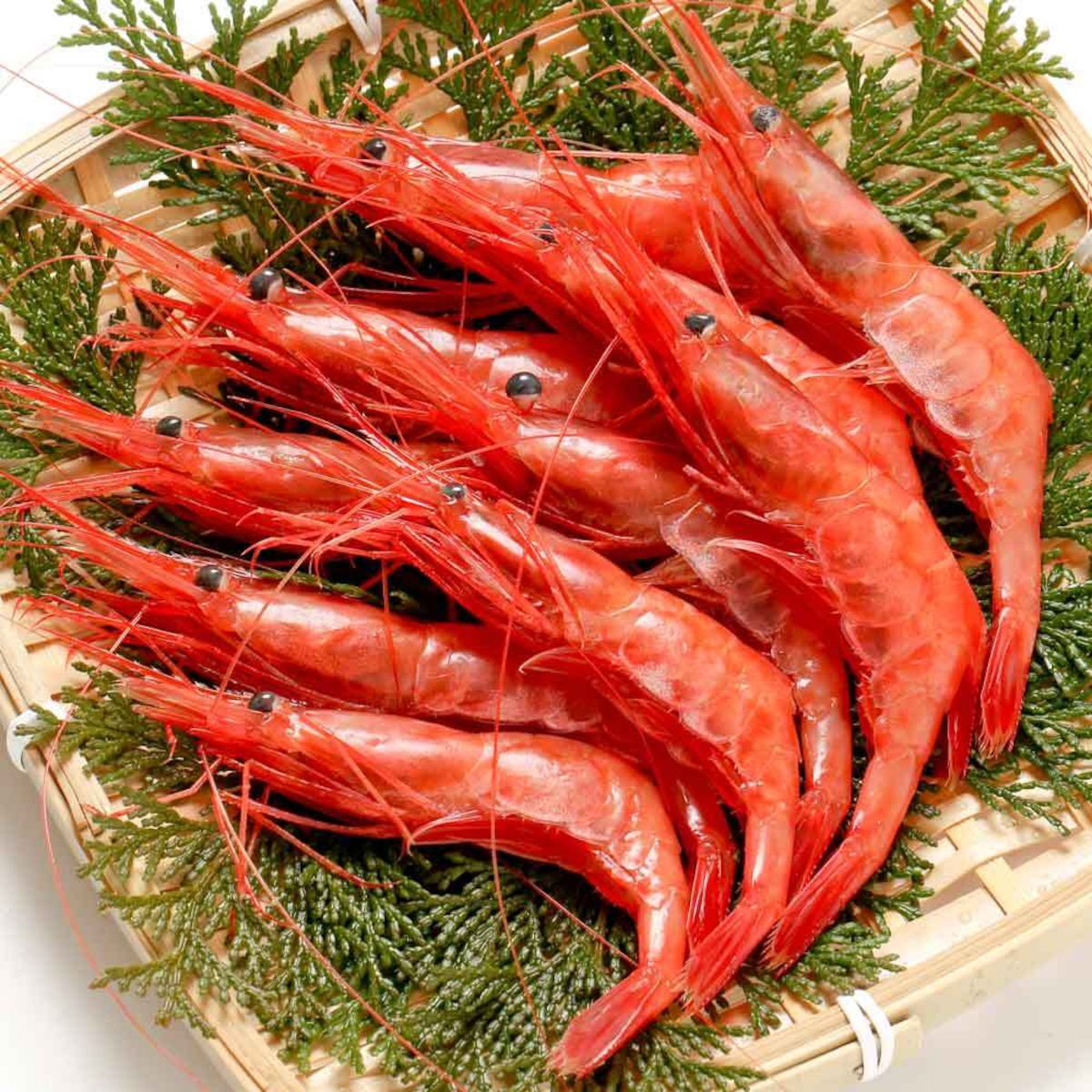 甘エビ 盛り合わせ | Japanesque