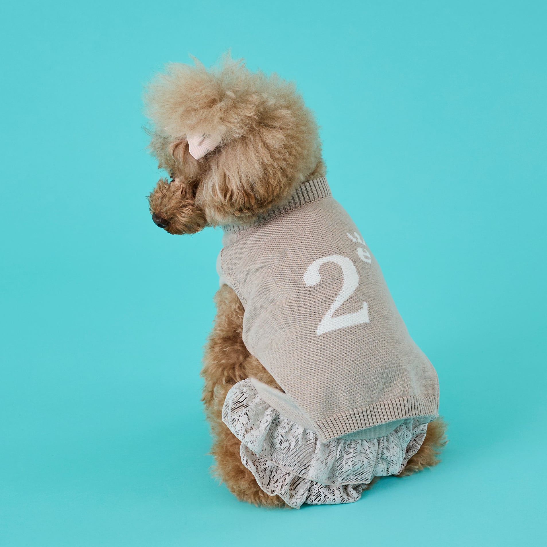 251102大型犬サイズ］冷感レースお出かけパンツ | 犬服ブランド 2e
