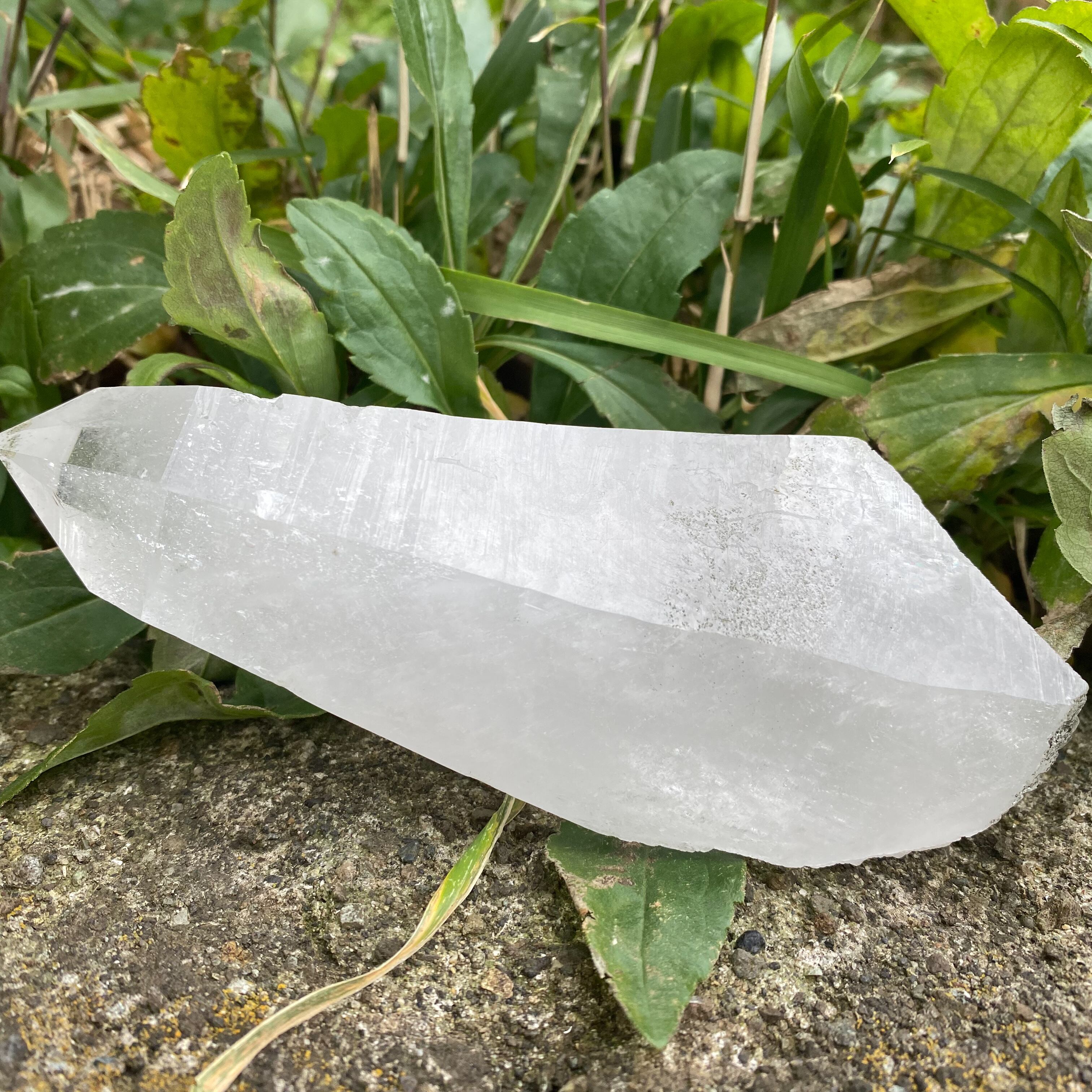 大きなセルフヒールド | Tigress Yogi