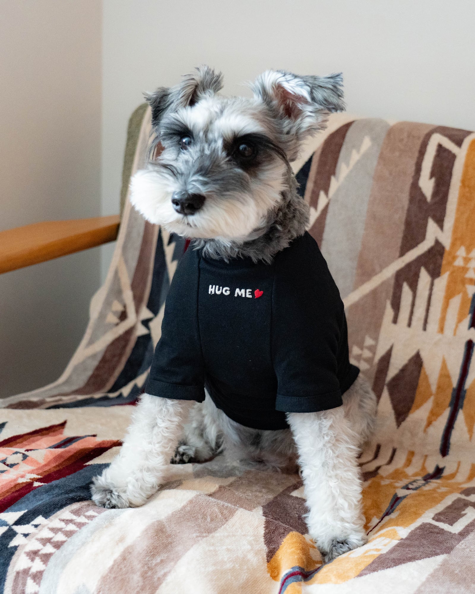 犬服 Tシャツ 「Mr.BACCA」 typeA ｜inunobacca | Inunobacca