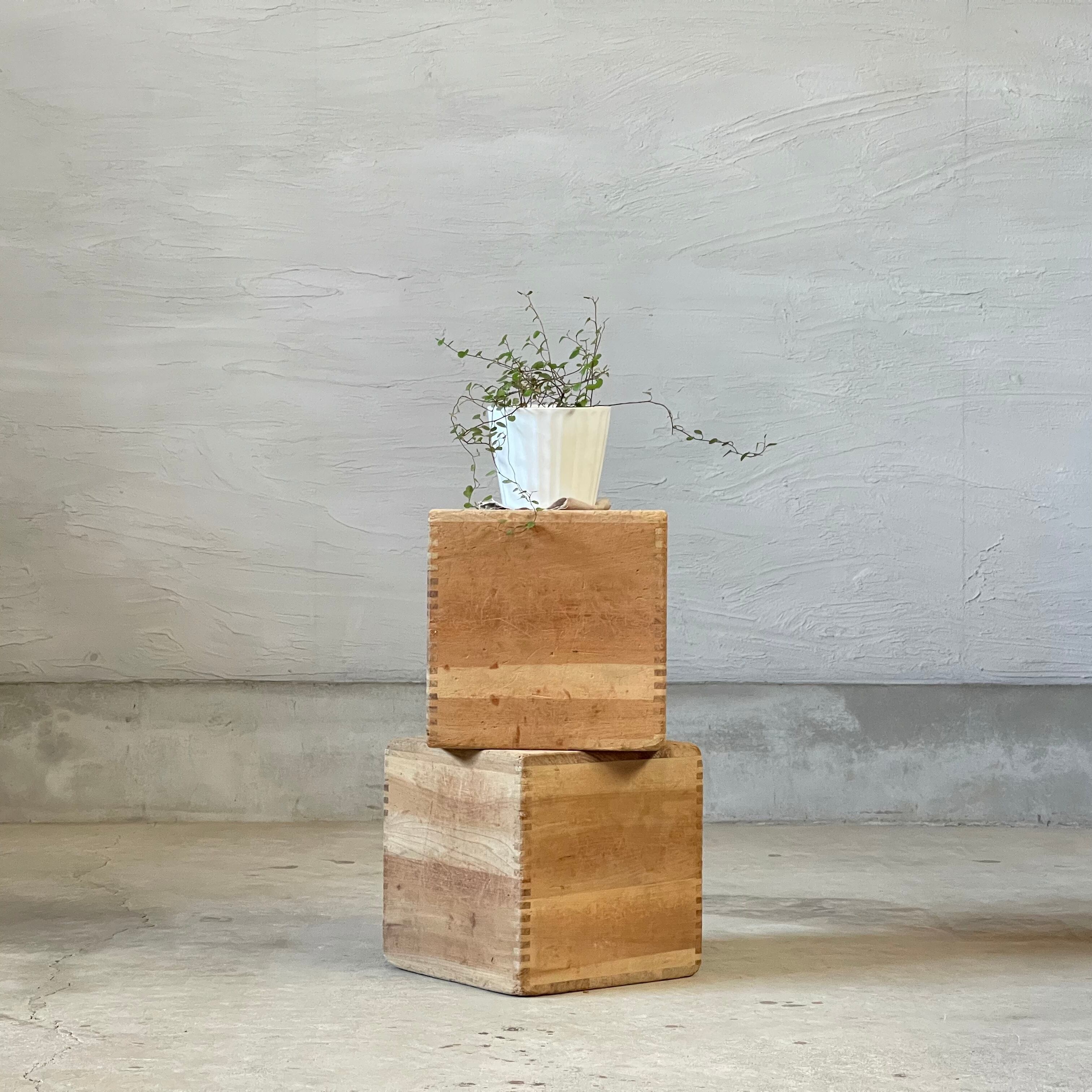 古木のオブジェ