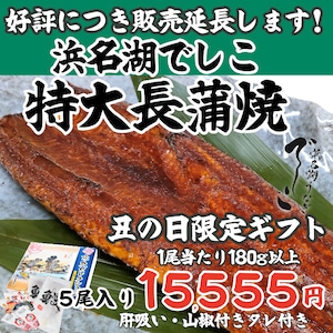 でしこ うなぎ 京丸 国産 蒲焼 浜名湖産 ブランド鰻 「でしこ」 特大 長蒲焼 5尾 セット (約180g×5) 国産 肝吸い付き 送料無料