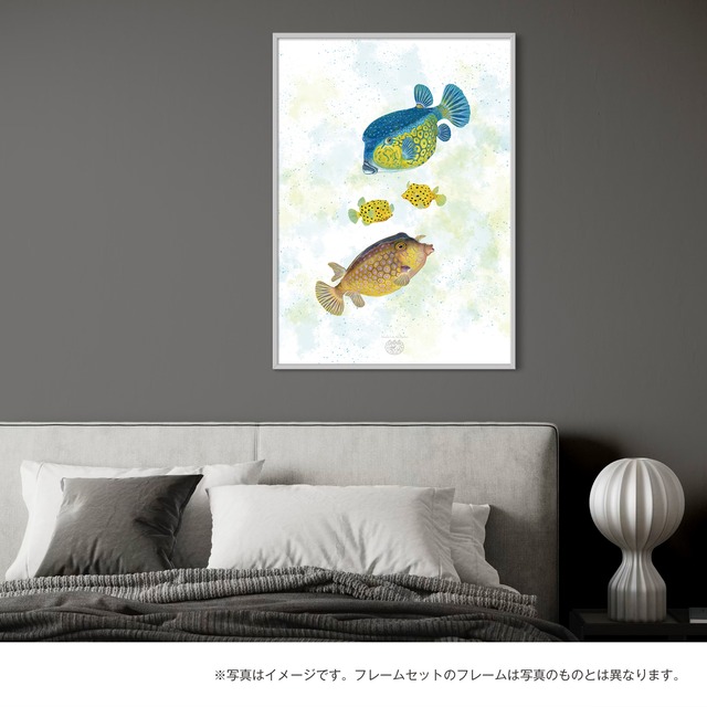 【海のいきものアートポスター／魚】ハコフグ