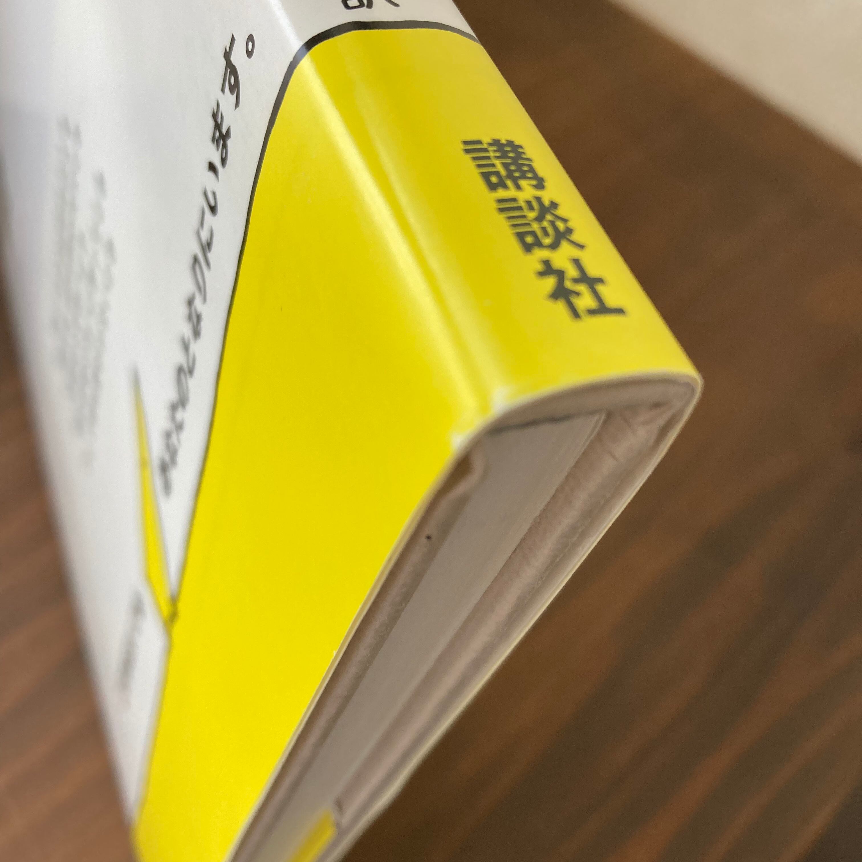 ぼくを探しに（シルヴァスタイン・作／倉橋由美子・訳） | 風