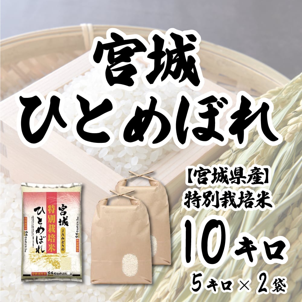 宮城県産】ひとめぼれ(特別栽培米)　10kg/5kg×2袋　マサキ米店