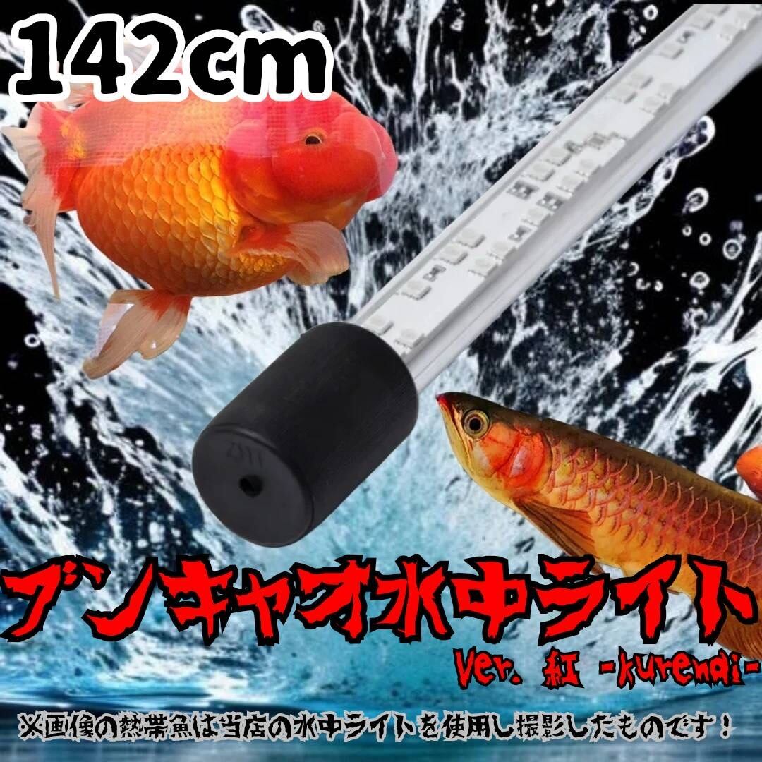 172センチ】ブンキャオ 水中ライト ver.紅-kurenai- アジアアロワナ 紅