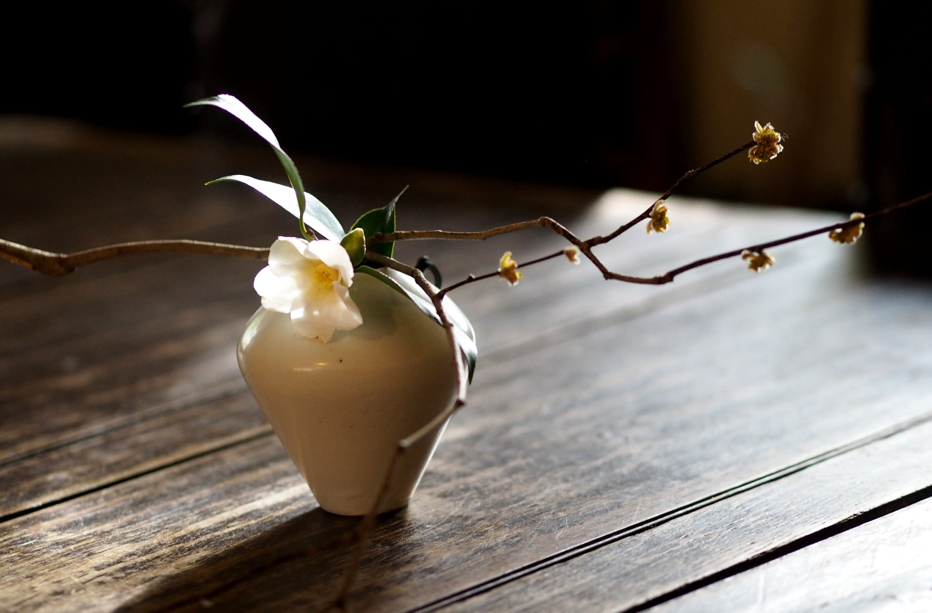 崔 在皓 掛花入 B | 陶屋なづな