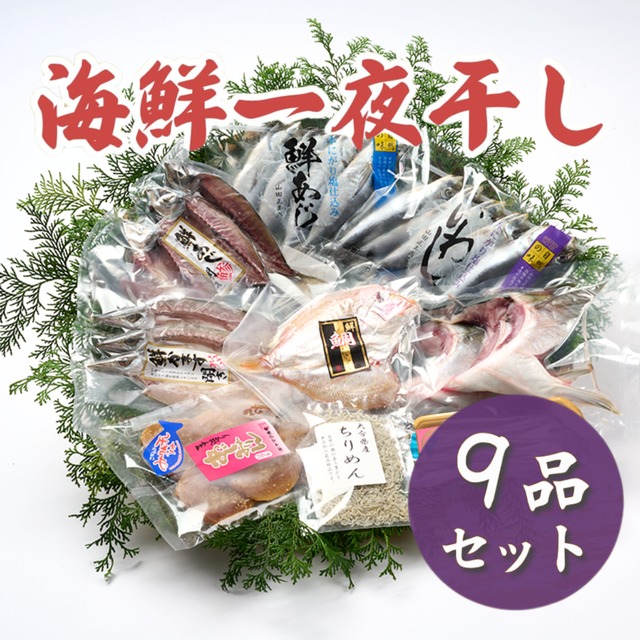 【鮮度が違う！】海鮮一夜干し9品セット【送料無料】北海道・沖縄は別途送料
