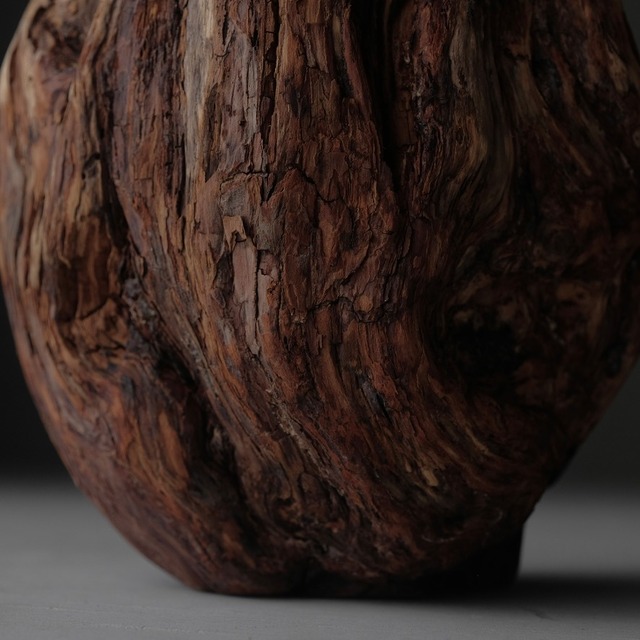 Tree burl