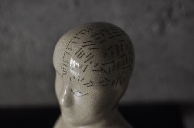 Phrenology Head2