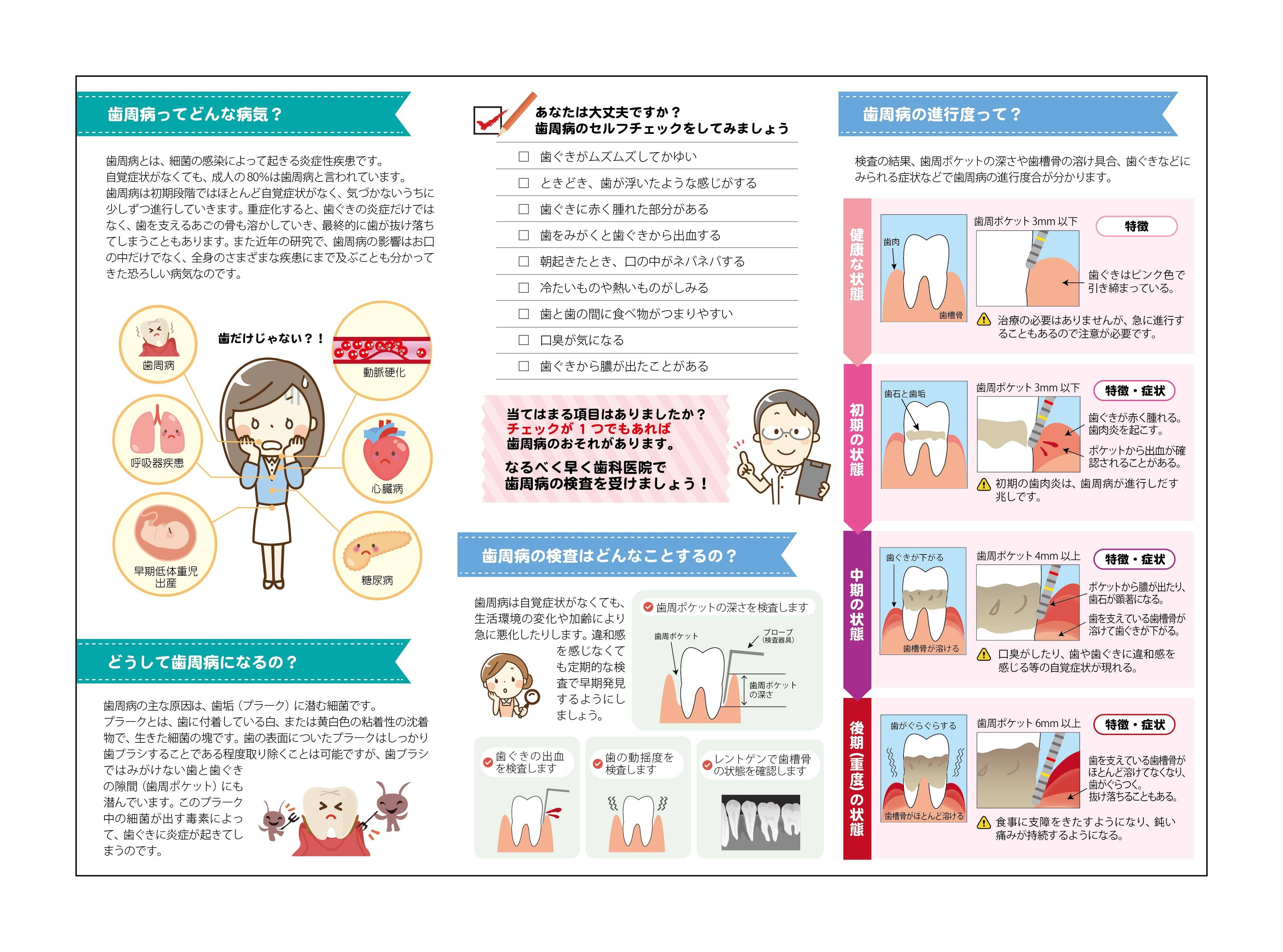 リーフレット（A4サイズ） 歯周病になる原因とメカニズム | 歯科グッ