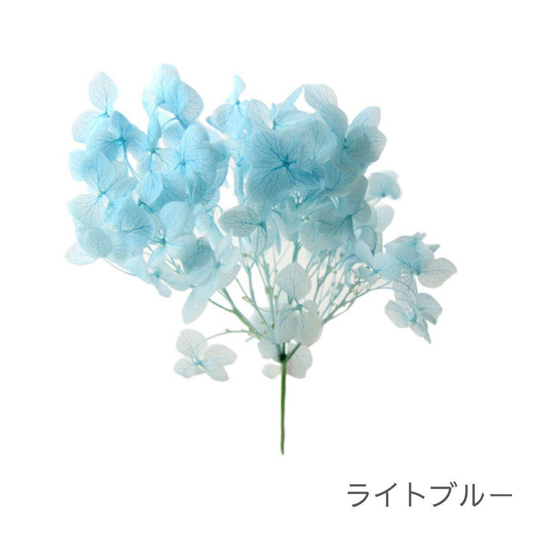 アナベル SP | ＋FLOWER・プラスフラワー・プリザーブドフラワーの