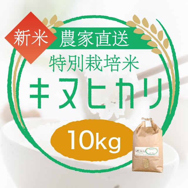 農家直売・特別栽培米 みずかがみ 玄米10kgまたは白米9kg〈1週間以内で