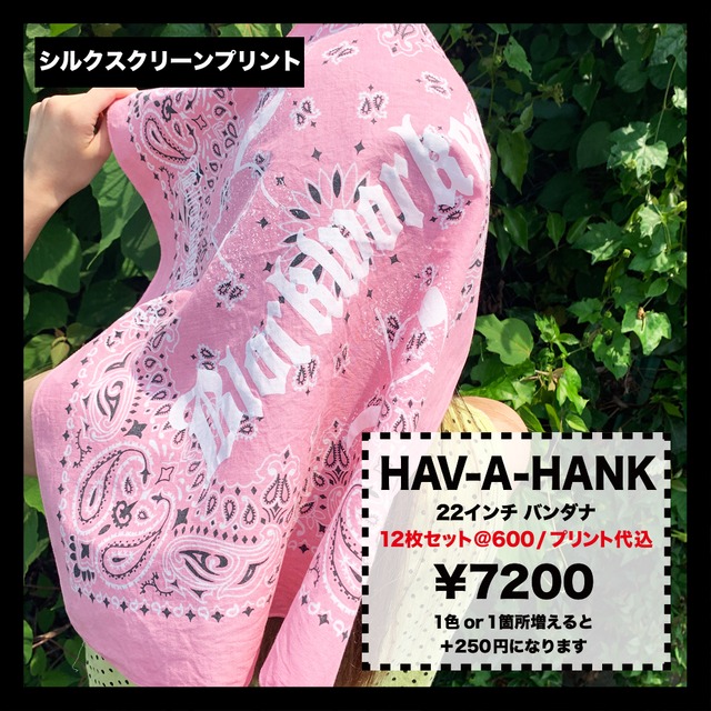HAV-A-HANK 22インチ バンダナ (12枚1セット) (品番BAND-M0001)