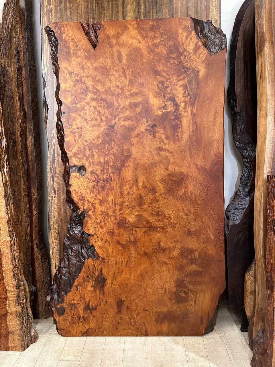 屋久杉（ヤクスギ）_1800×900×50_浅草本店_テーブル天板/一枚板 252621