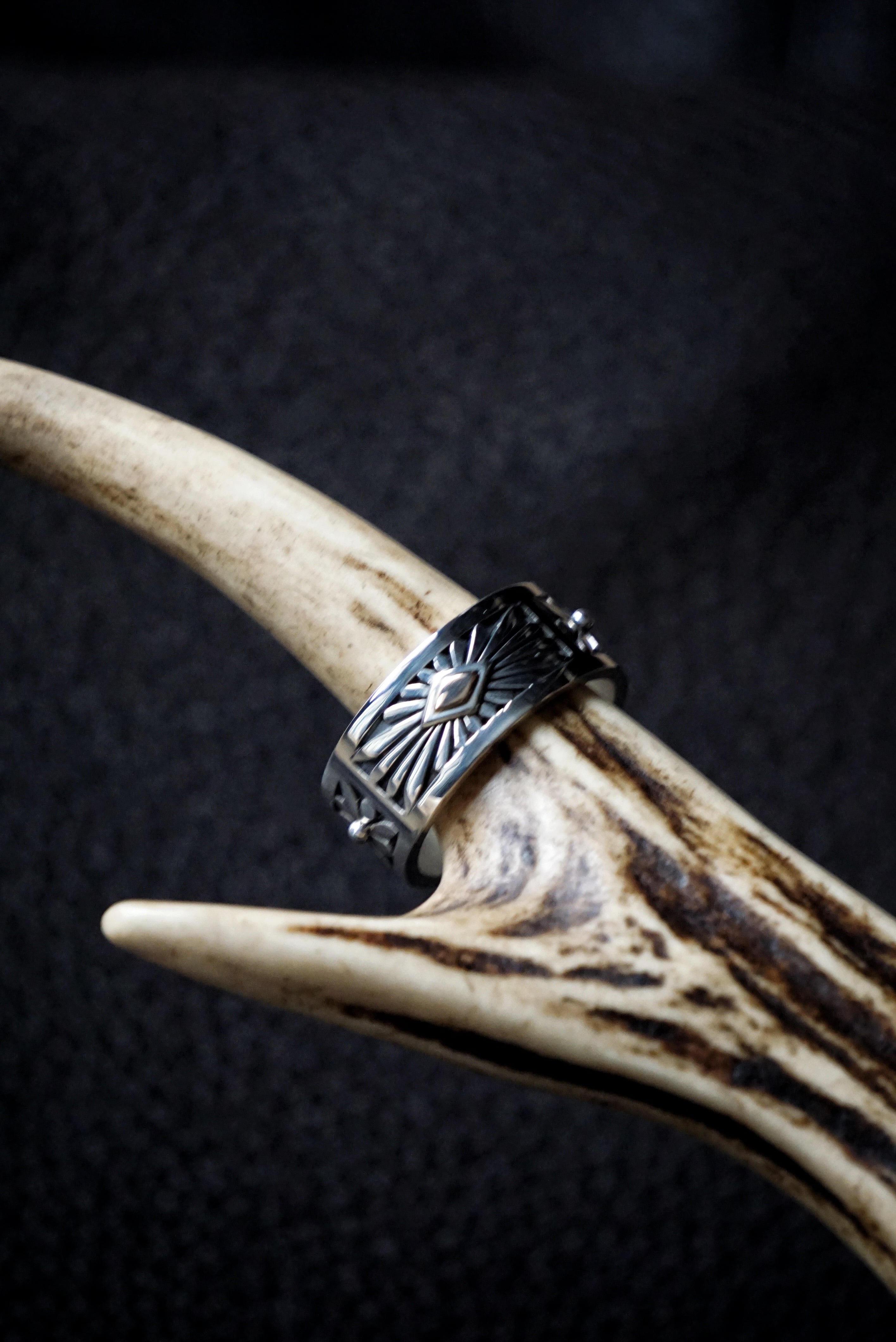 Howard Nelson ring 21号