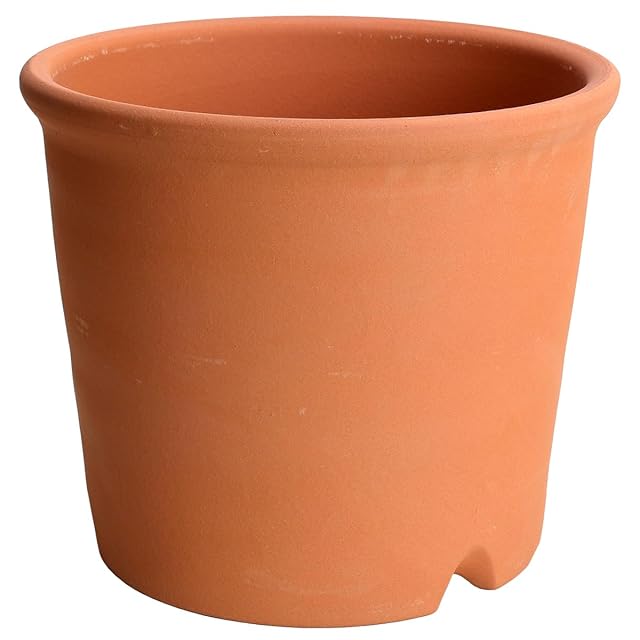 植木鉢 古賀 文博 | Pay ID