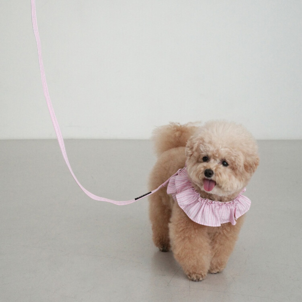 【予約】[ OHDIBS ] CAPENESS leash｜NO.19 _PINK STRIPE - 2