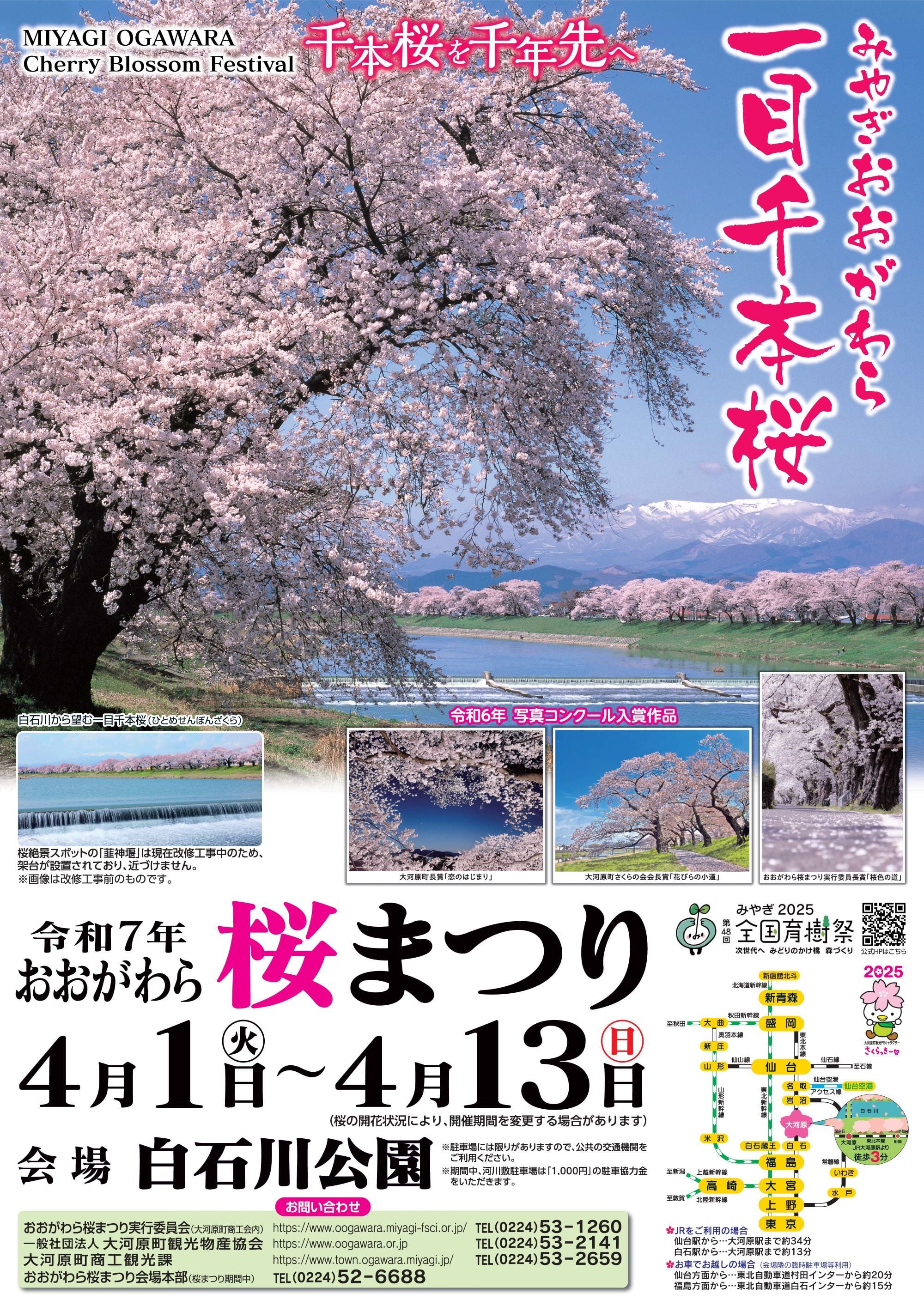 令和7年 桜まつりポスター | おおがわらオンラインショップ