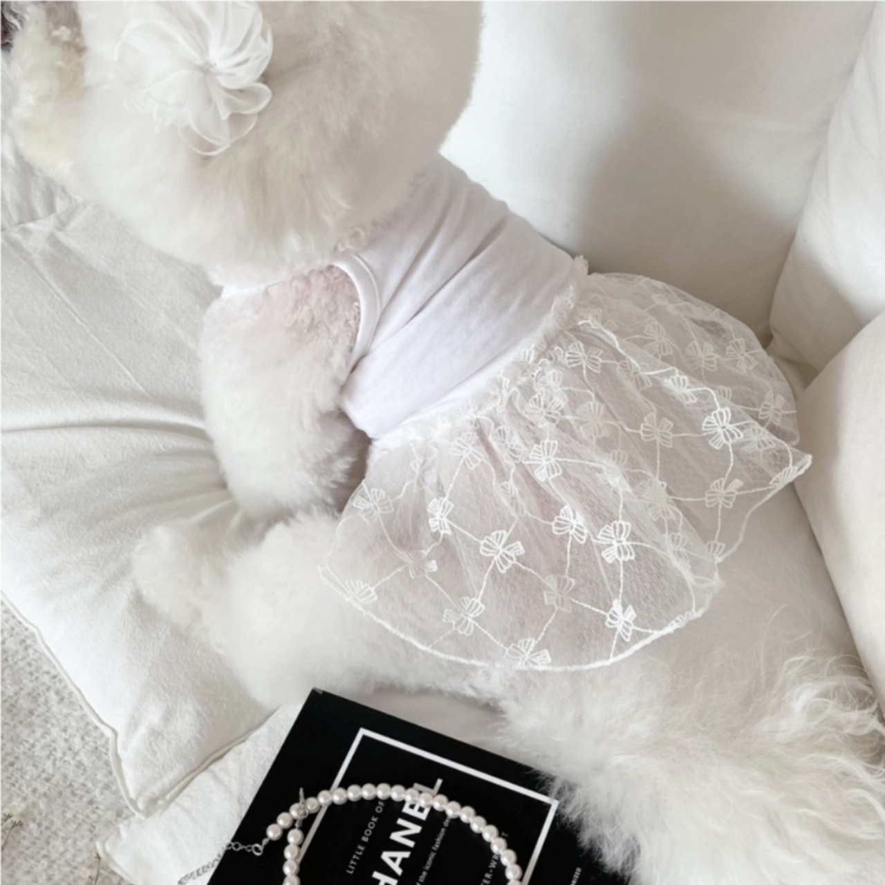 予約【pecoramou select】Roa Ribbon Net one piece