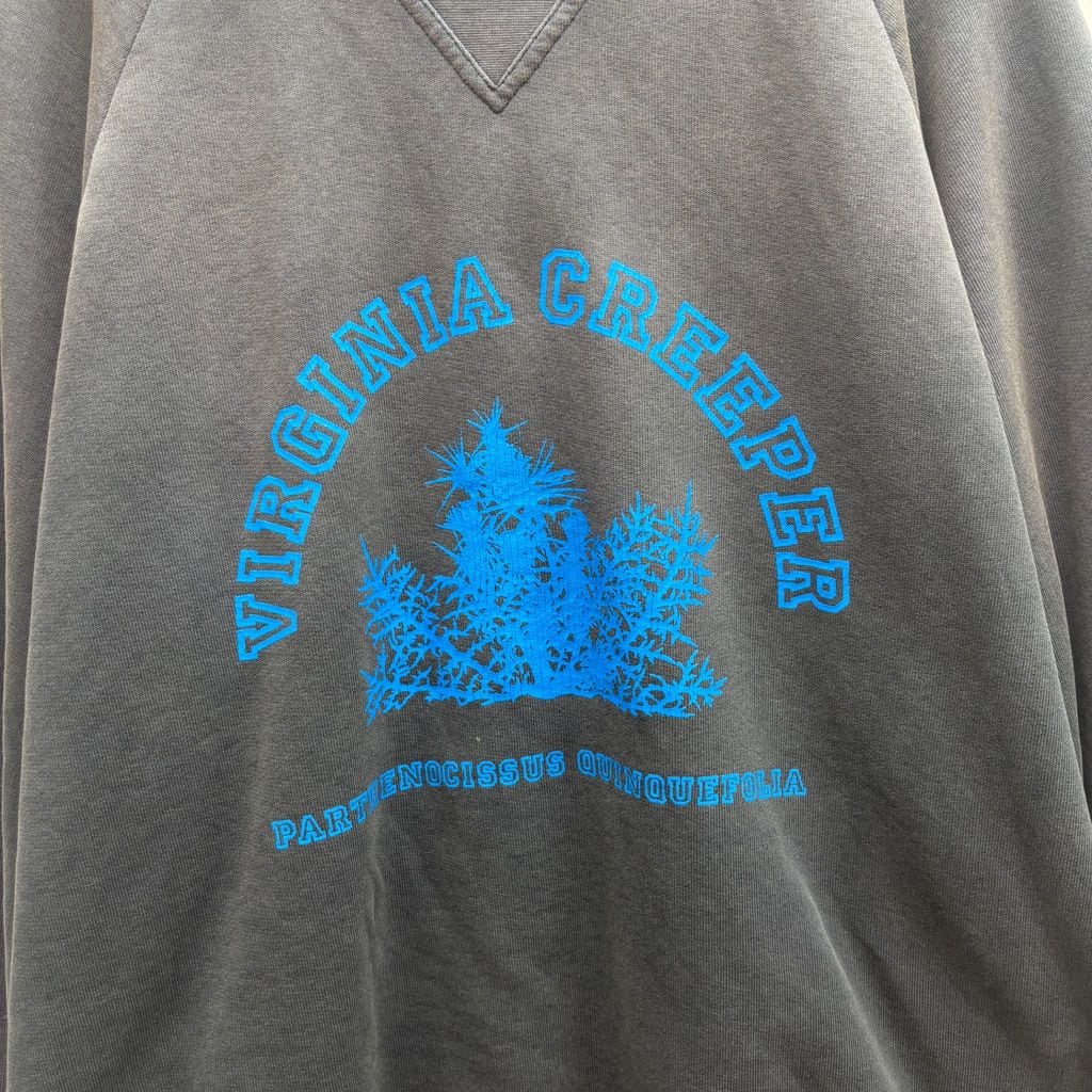 RAF SIMONS ラフシモンズ 02AW Virginia Creeper Sweatshirt