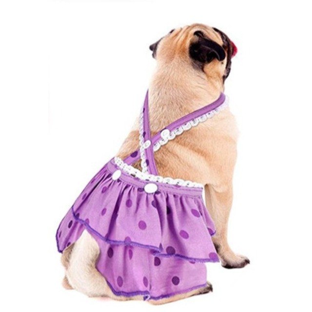 Dog Diaper Cover　　t-item-0176