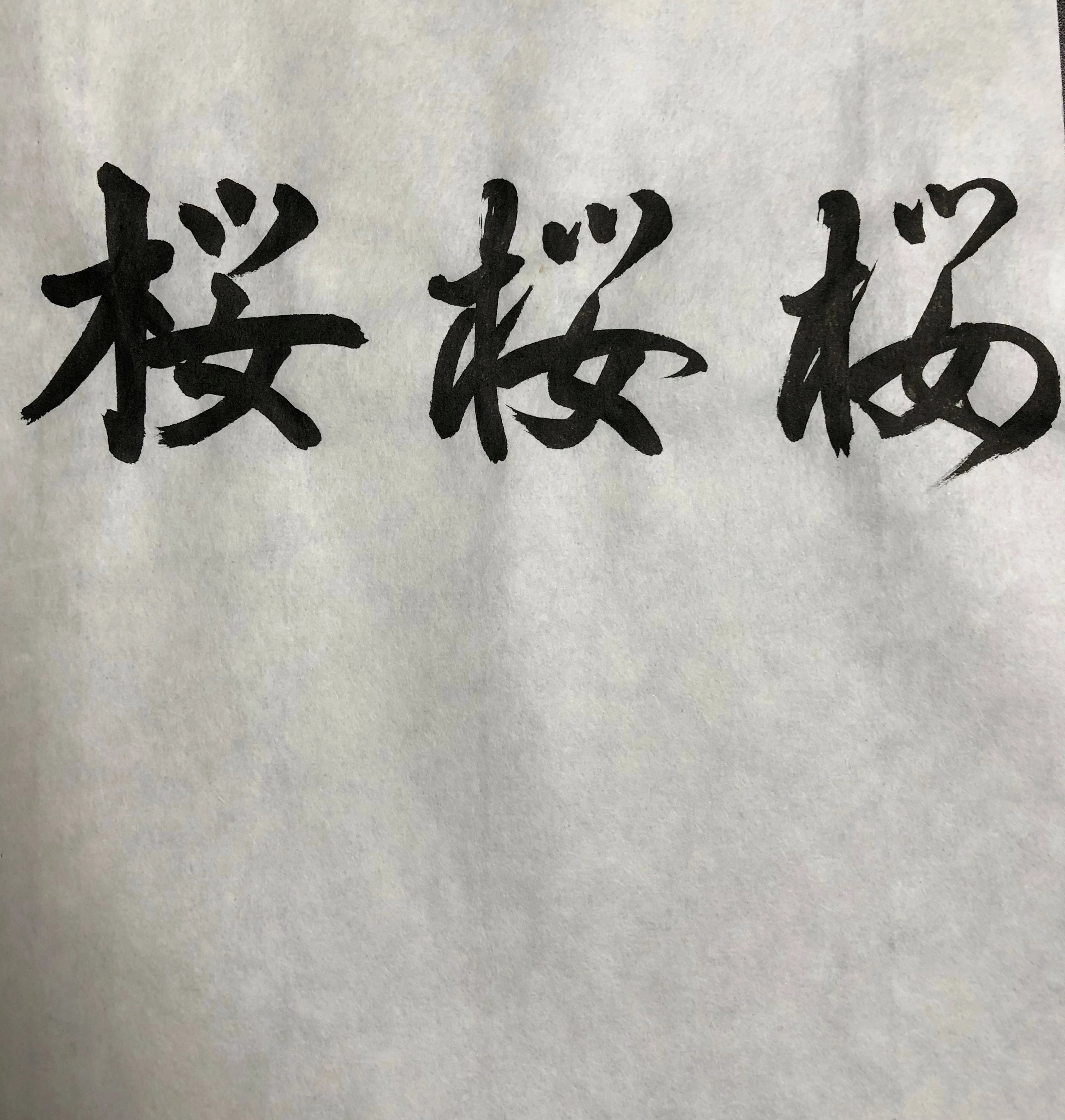 天義堂 書道半紙 漢字 【 半紙 桜 1000枚 】 書道 習字 初心者 小学生