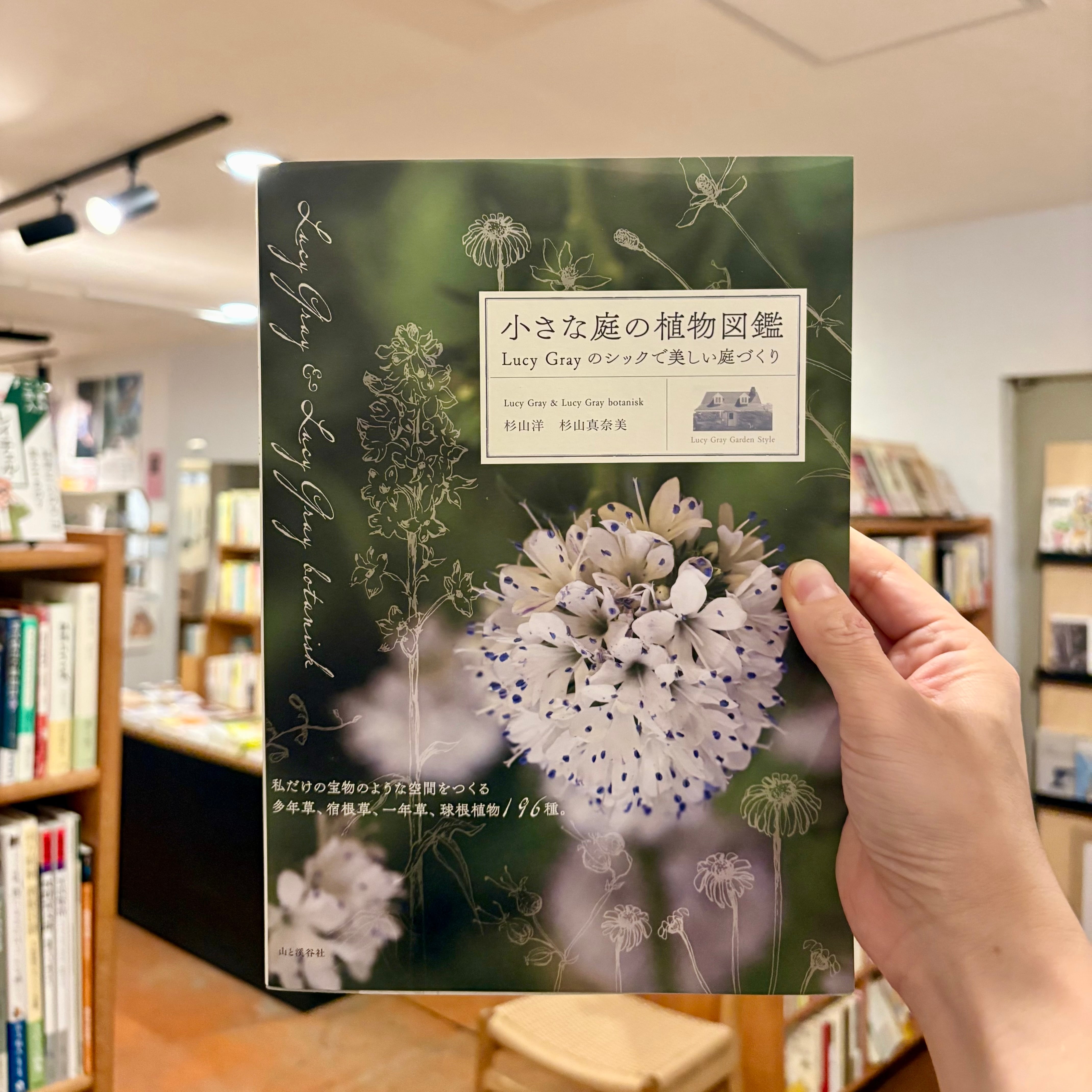 小さな庭の植物図鑑 Lucy Grayのシックで美しい庭づくり | 本屋