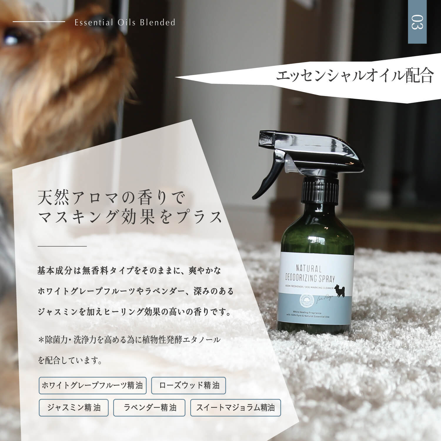 犬用ナチュラルデオスプレー エッセンシャルオイル配合 300ml ペット用 消臭 除菌スプレー ギフトバッグ入り マウンテンフィールズオーガニック公式オンラインショップ
