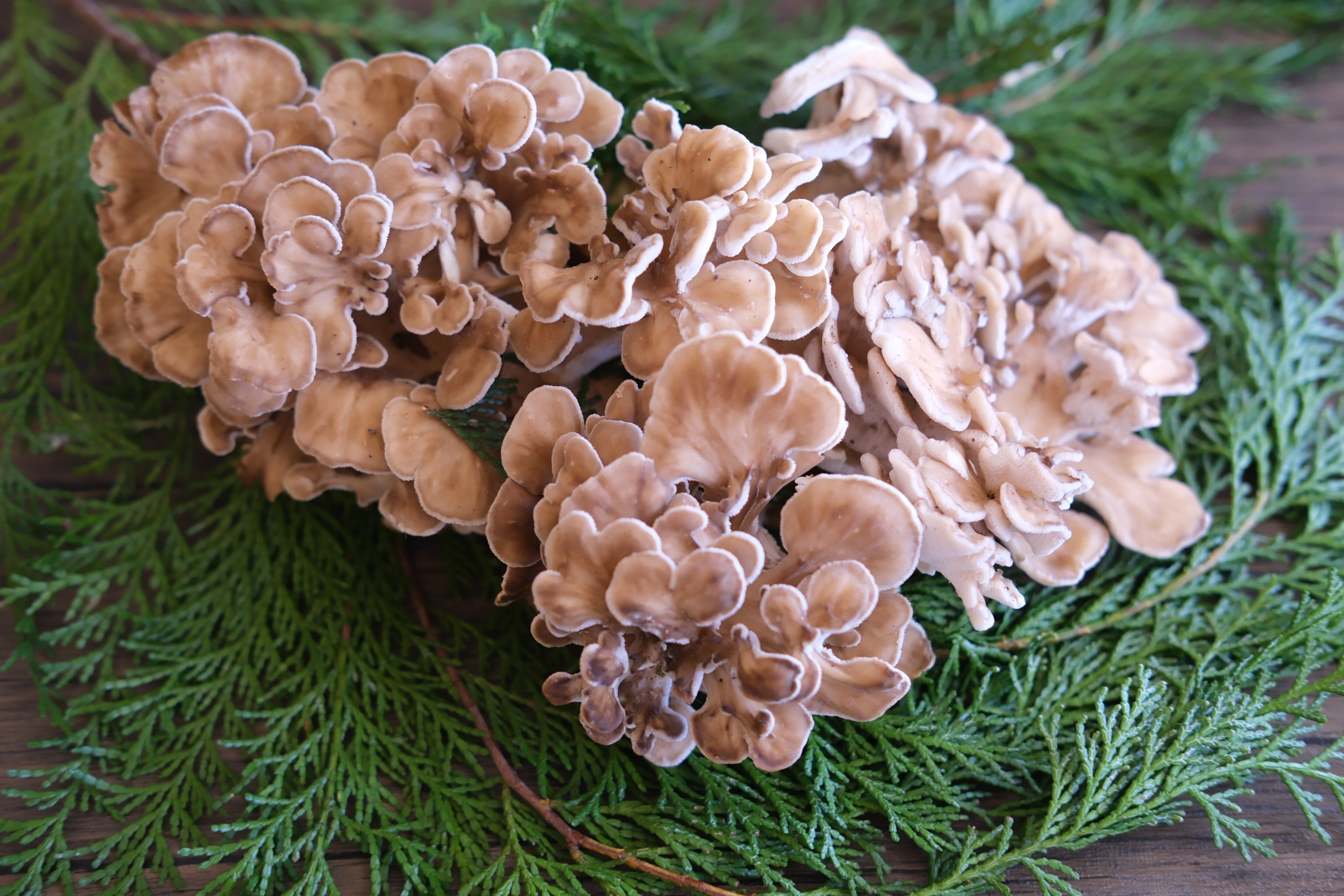 まつしまストアーオンライン