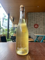 2022 FESTEJAR BLANC / DOMAINE LA BOHEME【フランス・オーベルニュ】