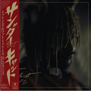 〈残り1点〉【LP】Thundercat - It Is What It Is（レッド ヴァイナル）