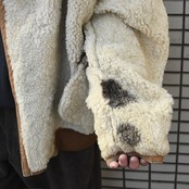 brown mouton leather jacket