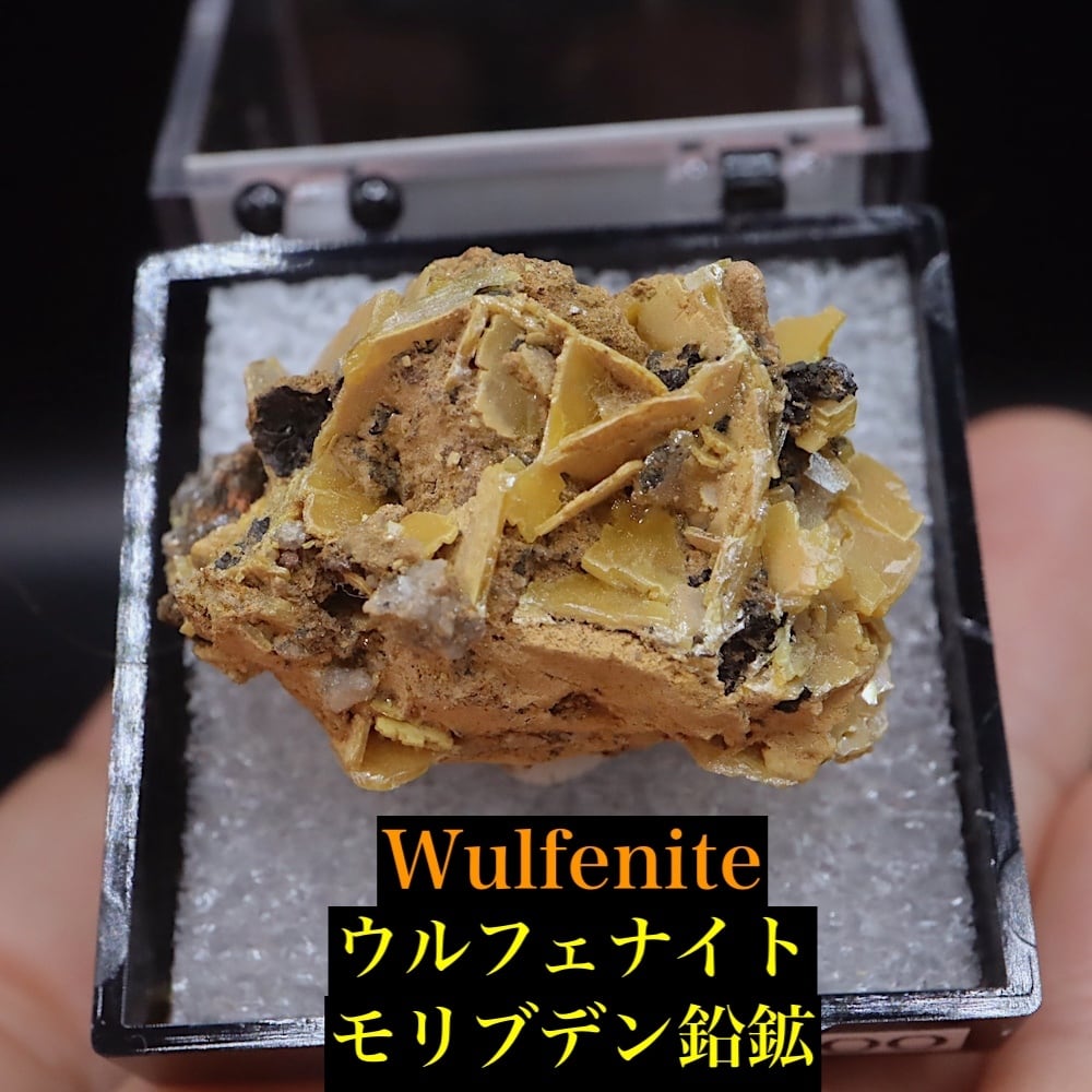 ネバダ州 モリブデン鉛鉱 ウルフェナイト WF180 天然石 鉱物 原石