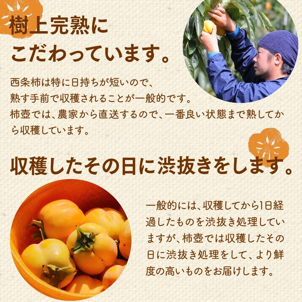 柿農家「柿壺」西条柿の干し柿（中玉 6個入）【ご注文確認後5営業日