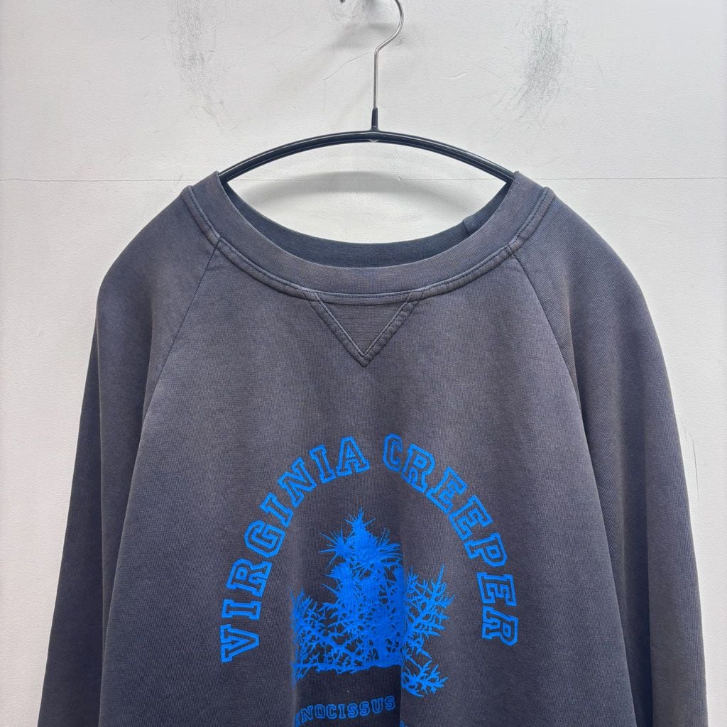 RAF SIMONS ラフシモンズ Virginia Creeperスウェット RAF SIMONS ラフシモンズ 02AW Virginia Creeper Sweatshirt
