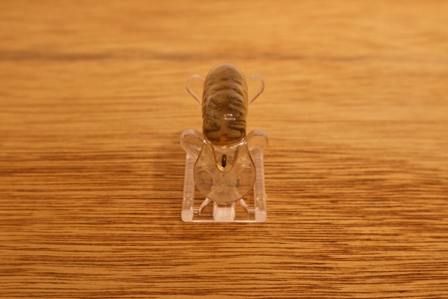 CORMORAN (コーモラン) / ダイブクレイフィッシュ (ボーン)