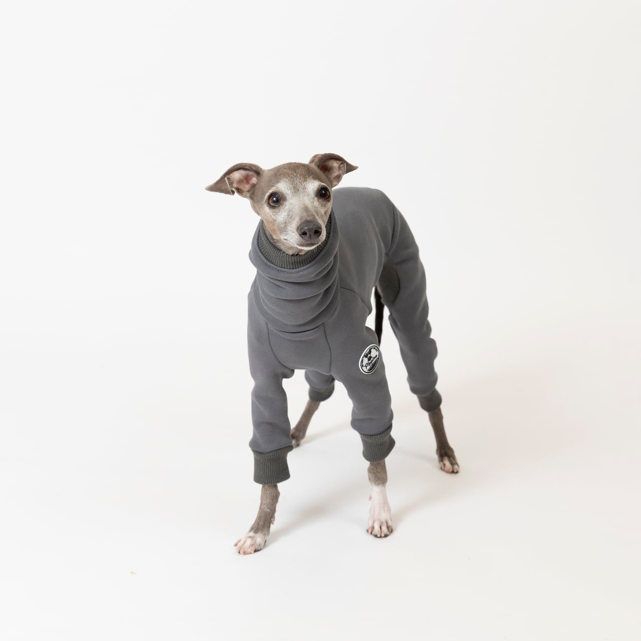 シルキーボンバーヒートロンパース gray / イタグレ服 | イタグレ服