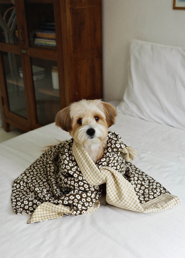 〈 予約アイテム 〉OHDIBS / Grandma Blanket _ brown