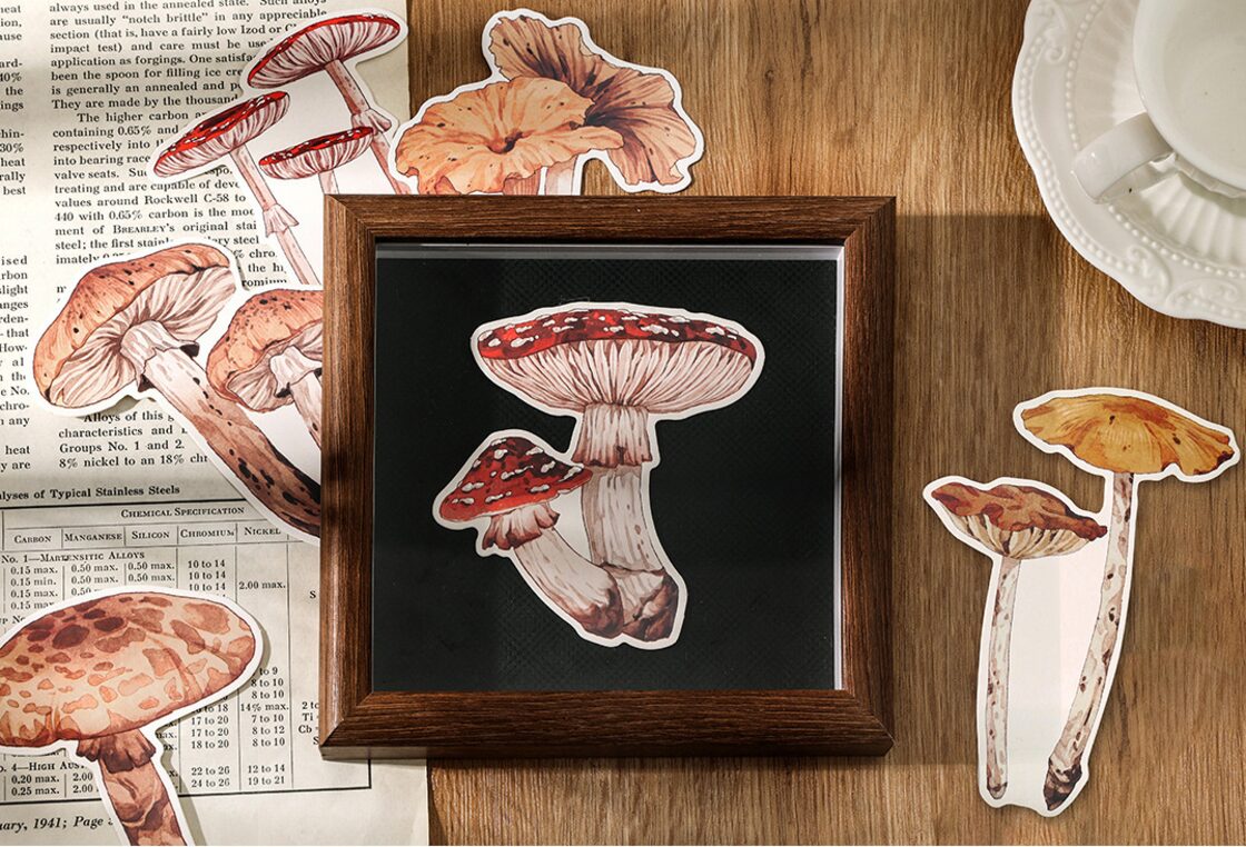 ポストカード 規格外（ハガキとしては使用できません。） きのこ愛