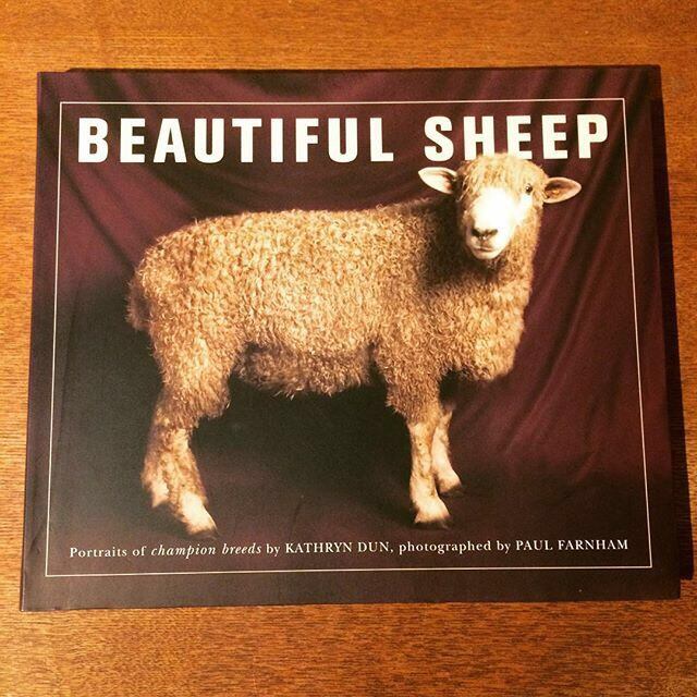 写真集「Beautiful Sheep／Kathryn Dun」 - 画像1