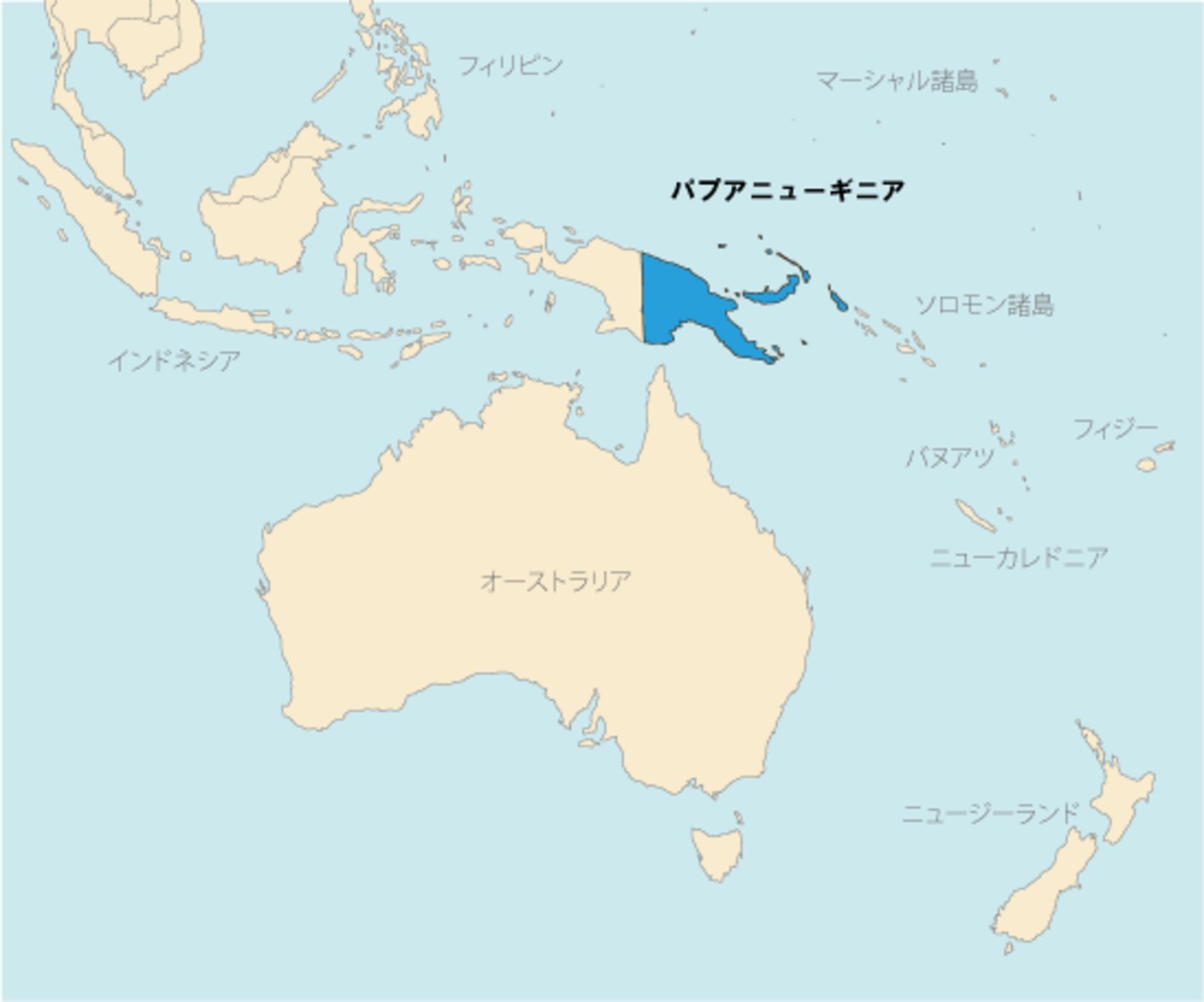 パプアニューギニア Mt.ハーゲン・シンバイ地域【500g】