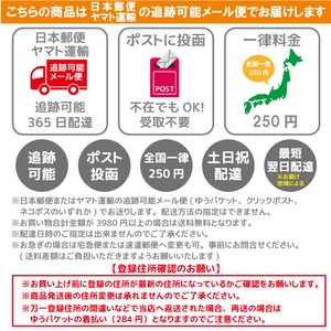 フラットコーテッドレトリバー ステッカー 車  フラッティ シール 名前 おしゃれ かわいい グッズ オーダーメイド  筆記体 カッティング